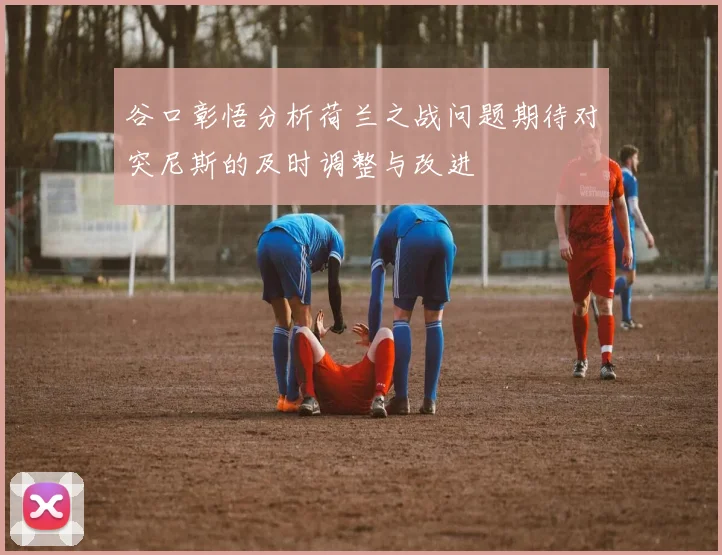 谷口彰悟分析荷兰之战问题期待对突尼斯的及时调整与改进