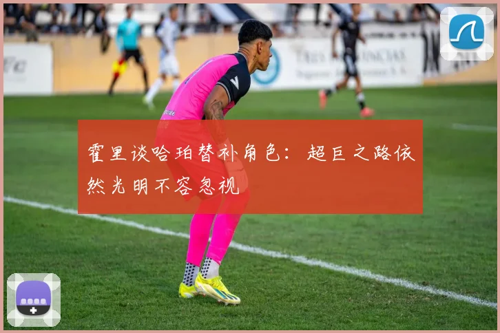霍里谈哈珀替补角色：超巨之路依然光明不容忽视